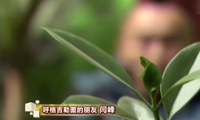 1996年，18岁小伙被当成杀人犯枪决，18年后凶手自首才洗刷冤屈