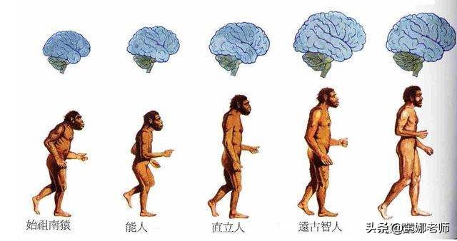 早期的西方“犯罪面相学”：长得像哪种动物，就自带它的特点