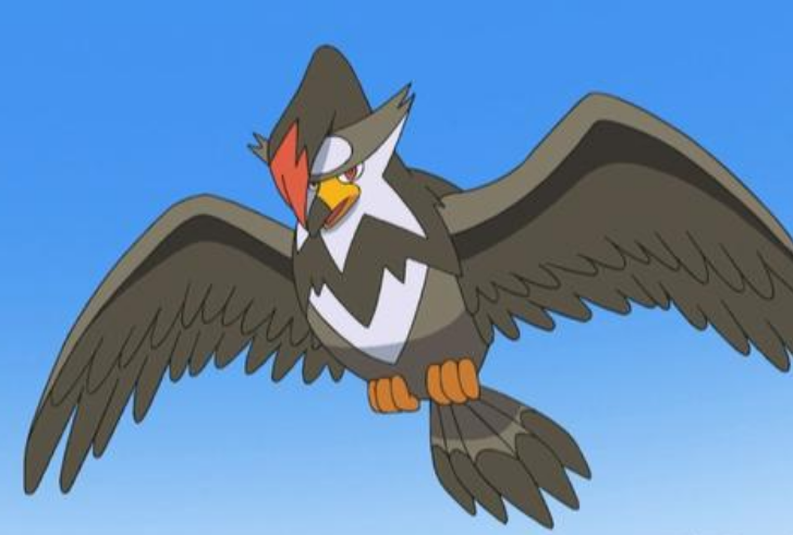 《宝可梦》姆克鹰依然是飞行系主要输出?不同特性不同线路?