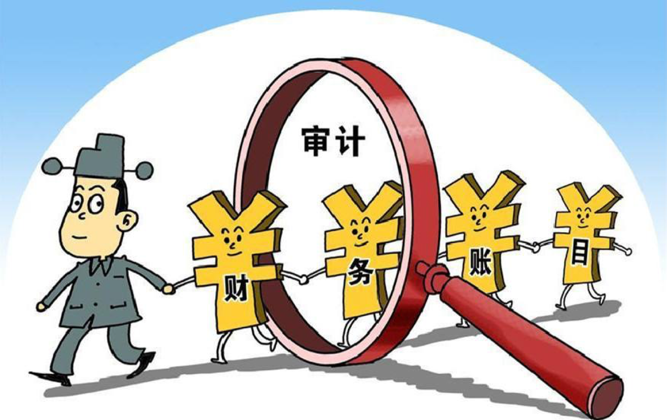 会计与审计类（这个专业一个985高校都没开）