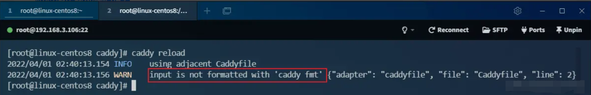 超越 Nginx！号称下一代 Web 服务器，用起来够优雅