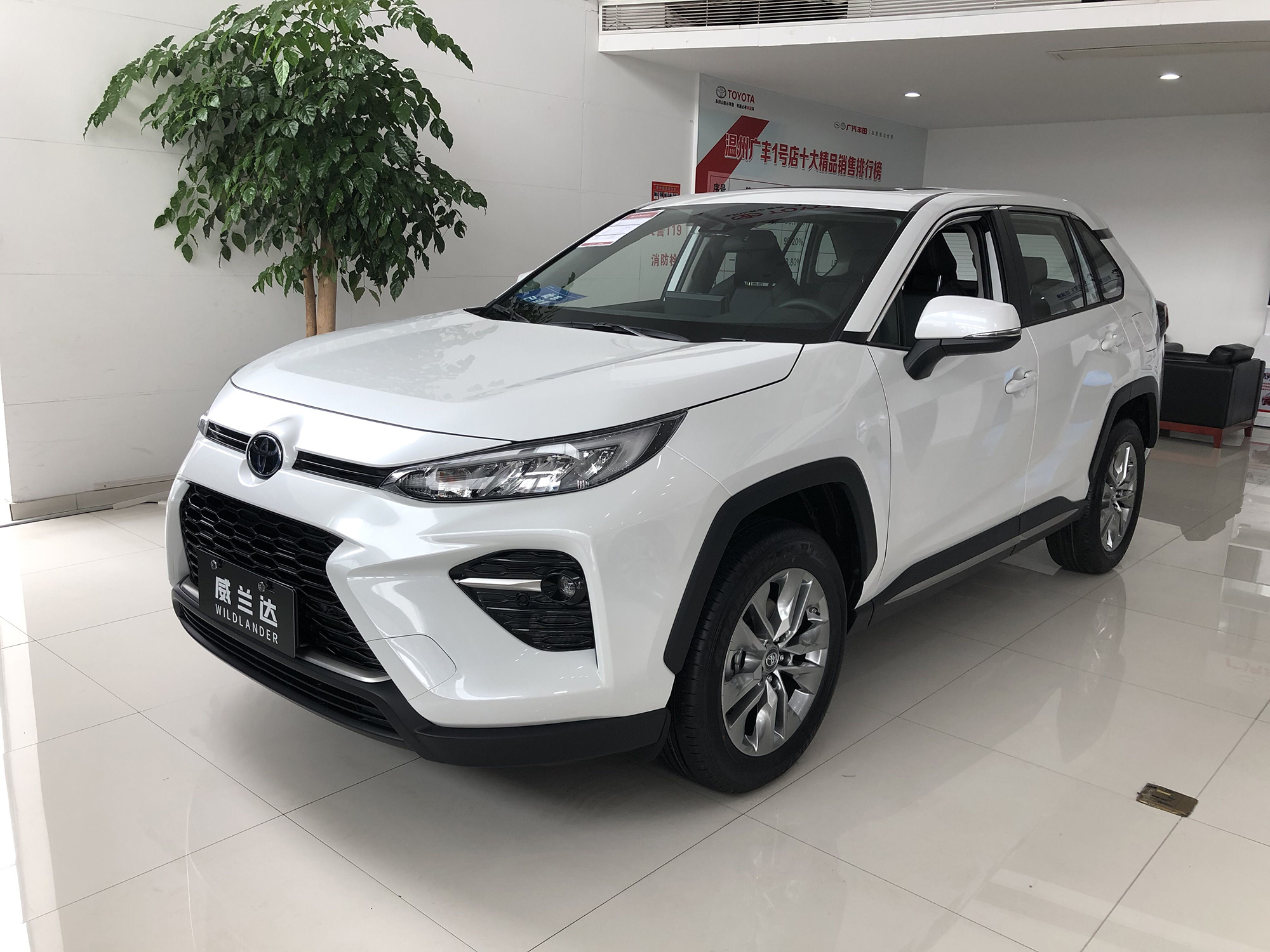 11月轿车和SUV销量排行榜出炉，比亚迪秦销量猛增，红旗HS5进前十