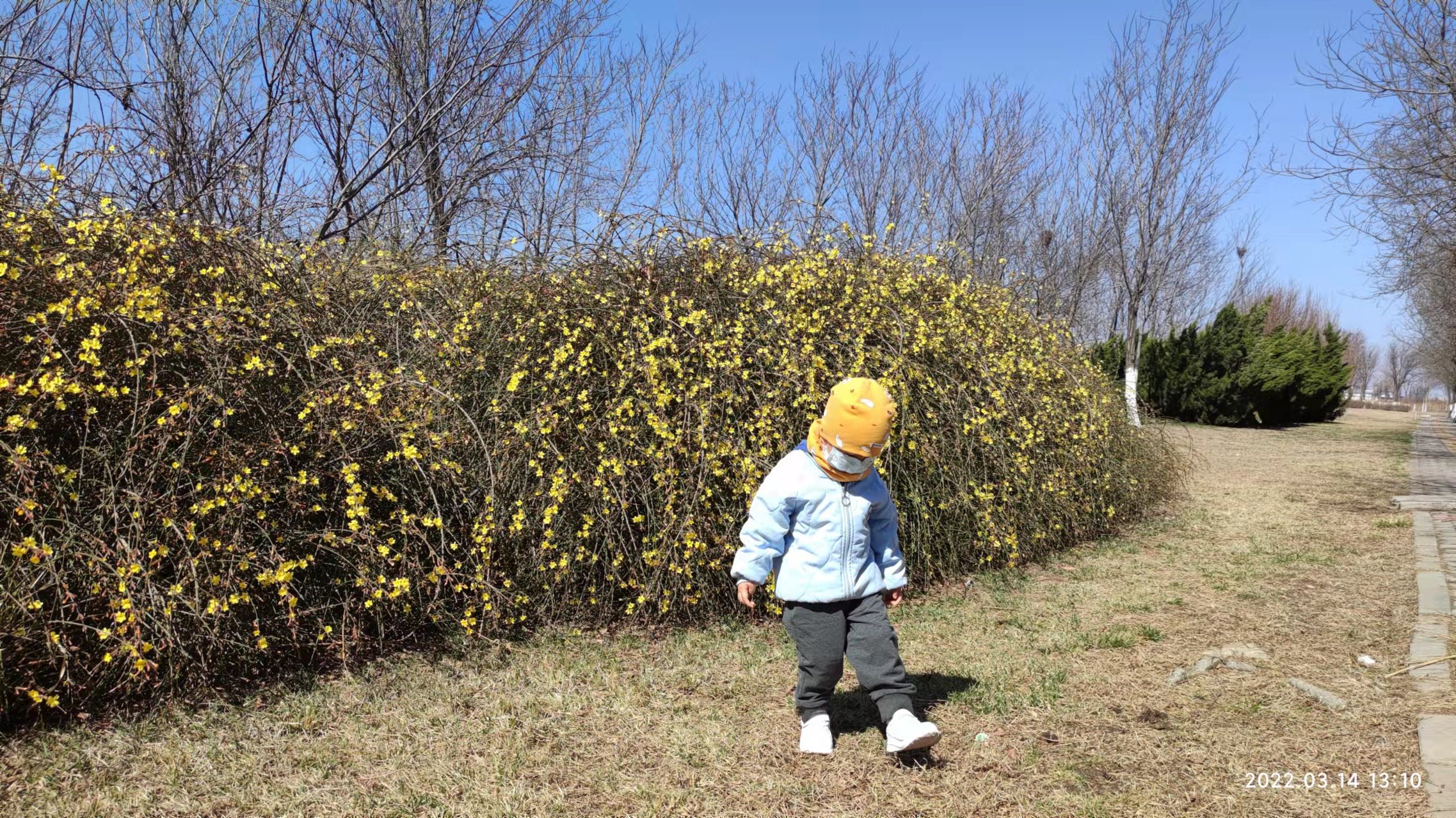 想做好自媒体，这两个能力是关键