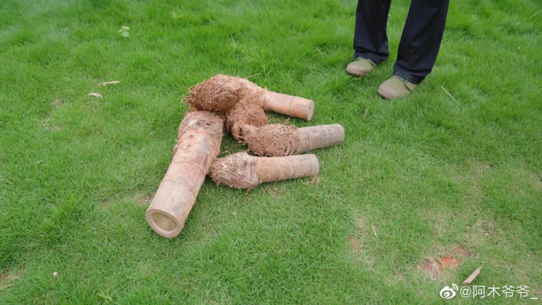 油管获赞1000万，广西大爷造出2600年前鲁班凳，千万老外大赞厉害