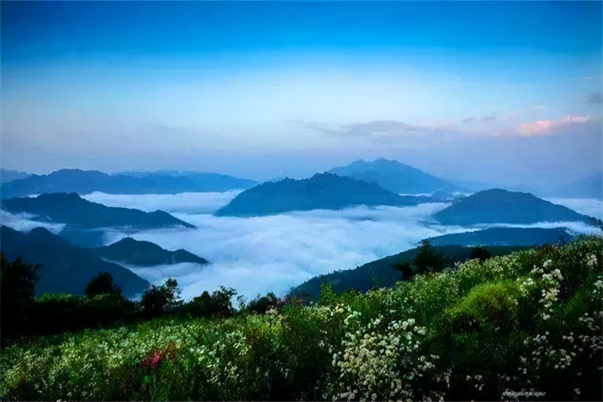 如今康养产业发展表现出什么样的趋势？
