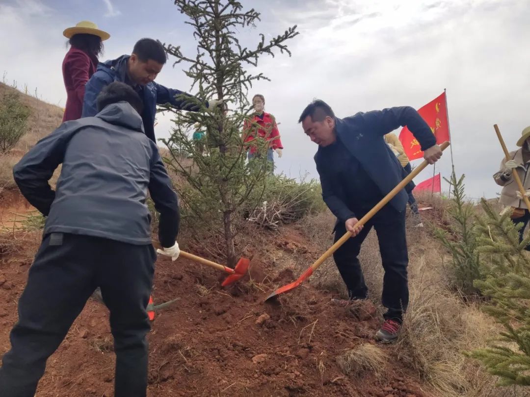 临潭县各乡镇各部门拉开春季义务植树序幕