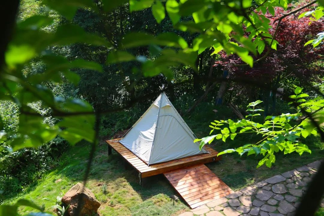 炎炎夏日何处去，快躲进老峨山里过一个凉爽的夏天