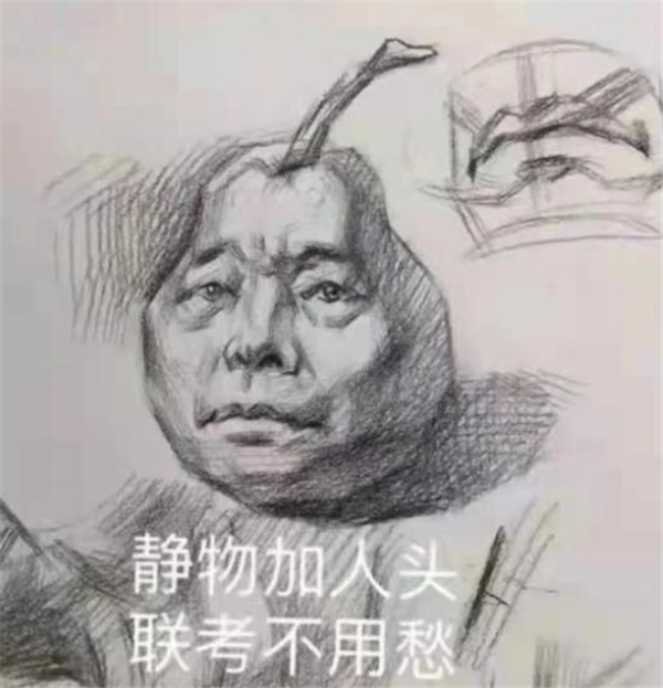 江苏艺考“66分卷子”火了，掌握了美术精髓，画得很好下次别画了