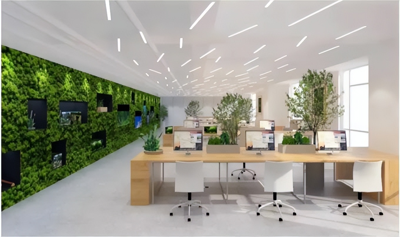 办公室绿植怎样设计与摆放？这份超全攻略请收好