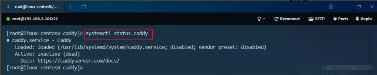 超越 Nginx！号称下一代 Web 服务器，用起来够优雅