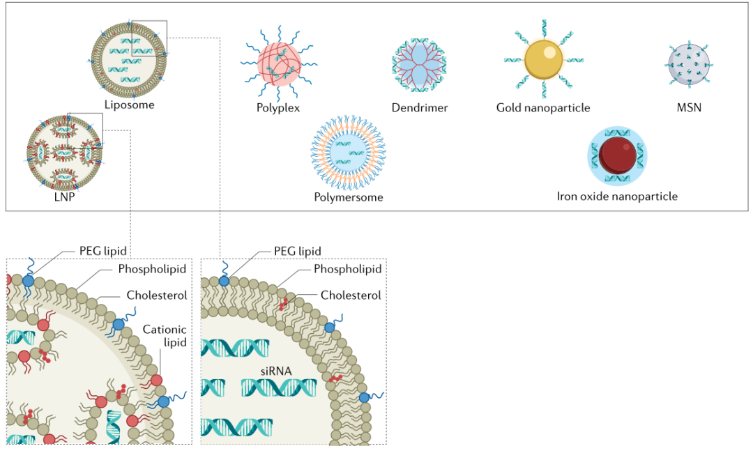 三大納米載體系統(tǒng)