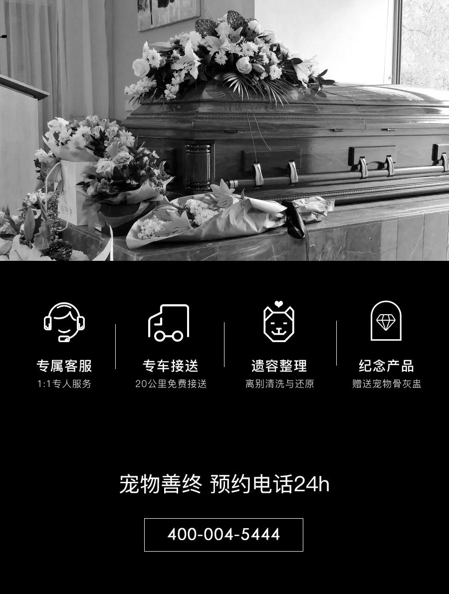 南京宠物火化，宠物离世-立即咨询 TINAPET天宠