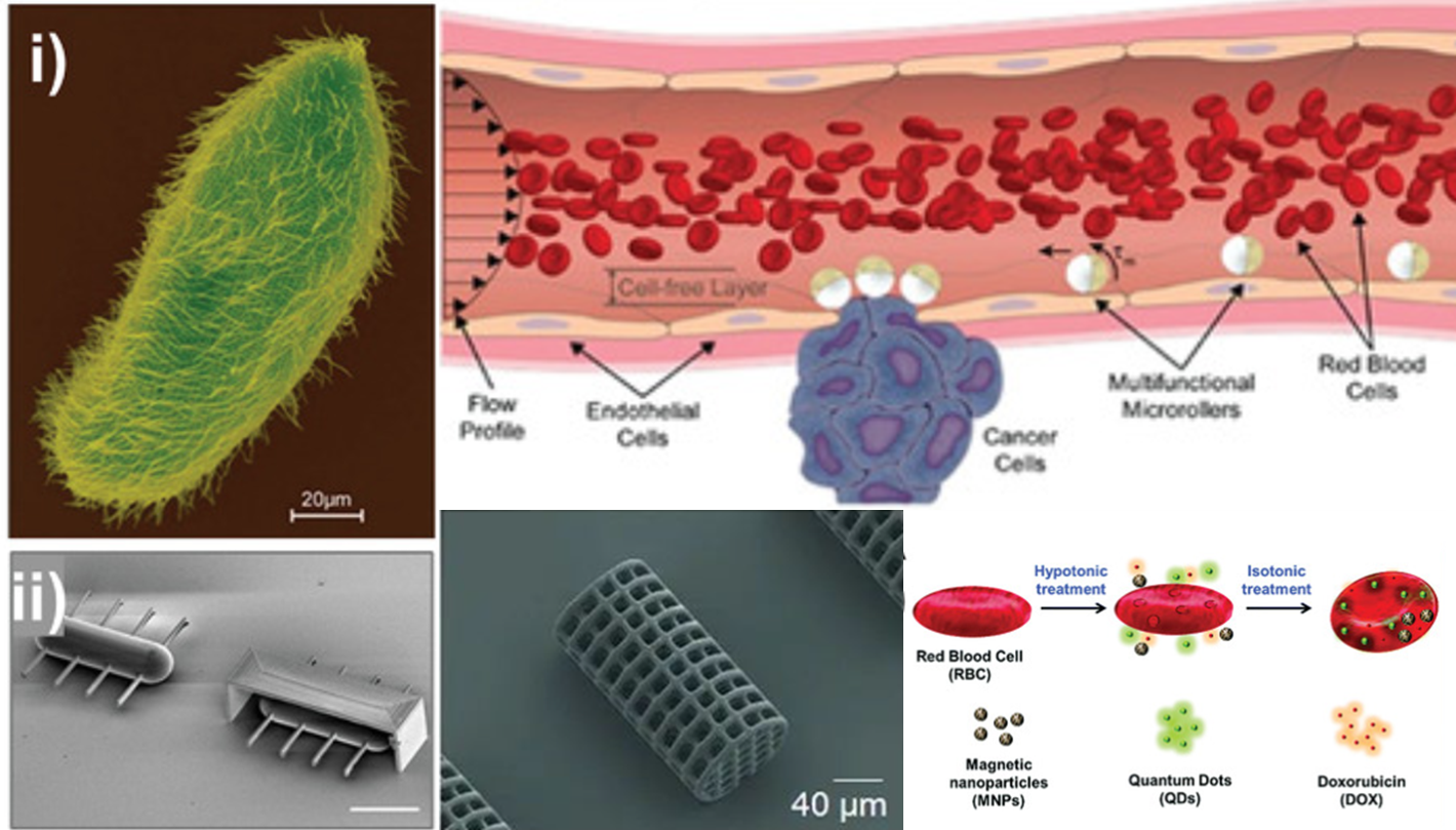 磁控软体机器人——生物医疗的福音
