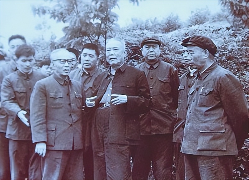 54年李先念向毛主席提出一请求，主席：你真是一见面就给我出难题