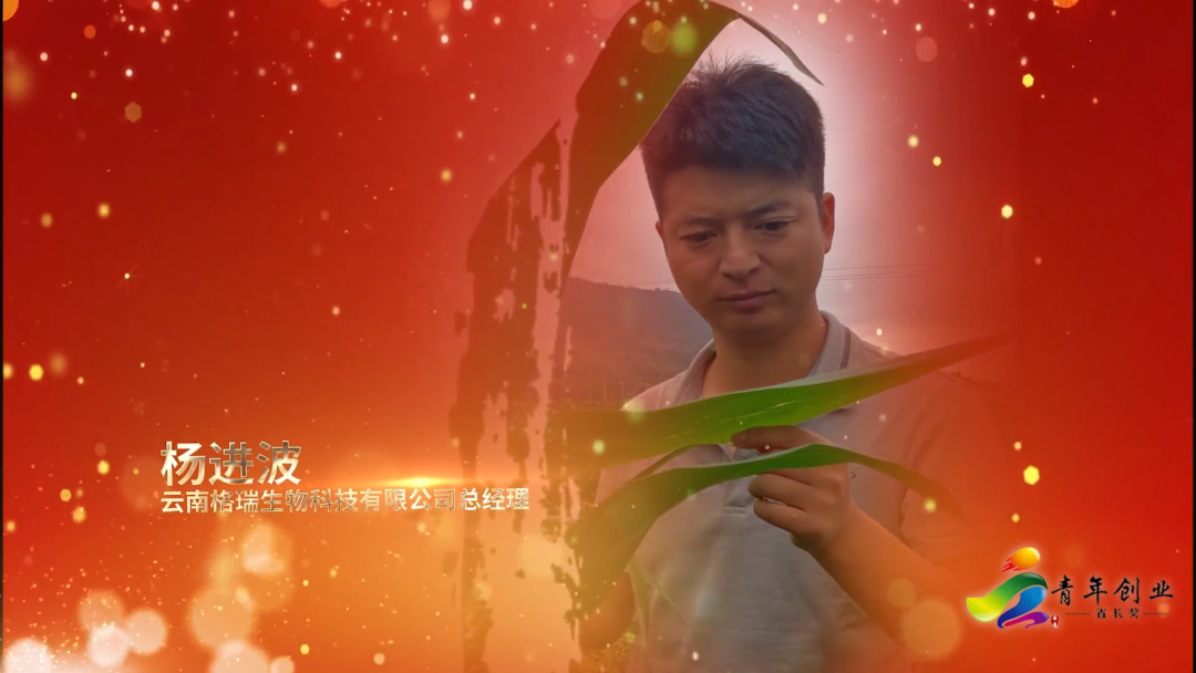 榜样！云南青年创业省长奖名单公布