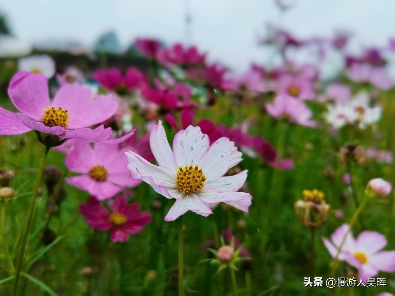 我和海南的约惠丨海南环岛西线自驾，小众体验，风光美食无限好