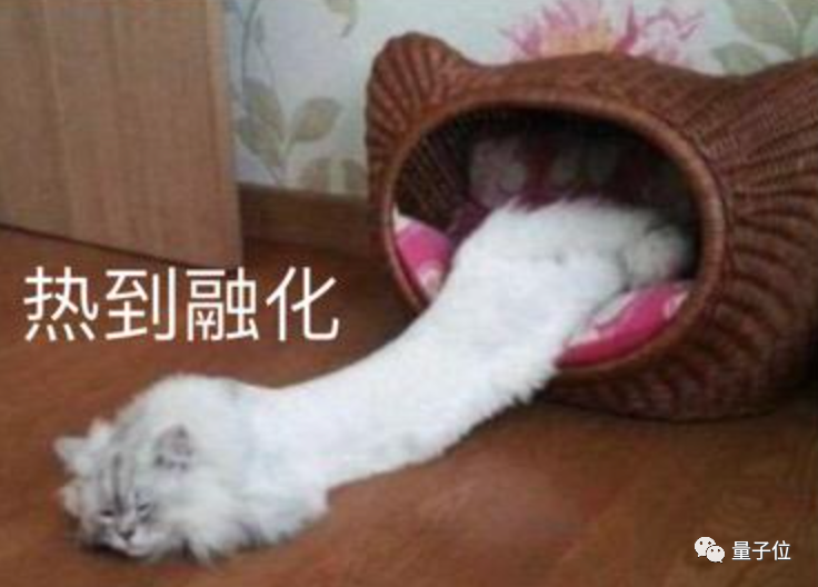 全球都热炸了，谷歌服务器已经崩掉了