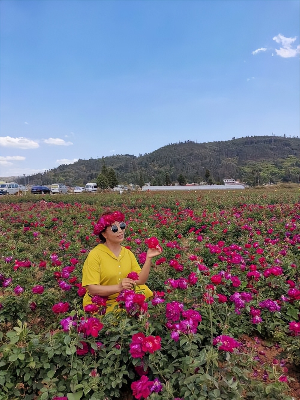 花开河东春来早｜花满闻喜，如画新绛！去看百花盛开的诗和远方！