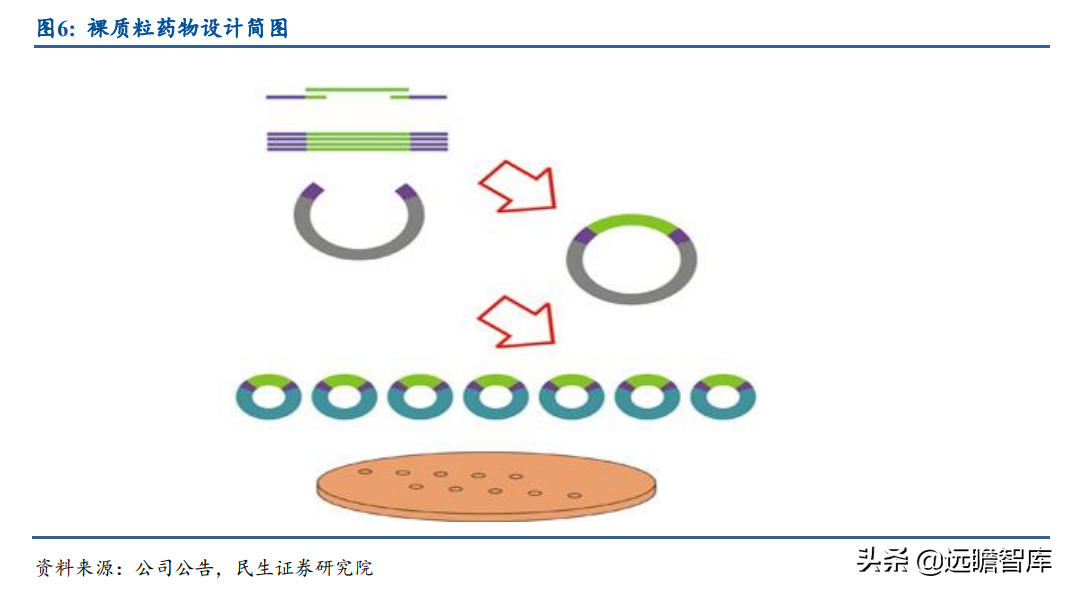 基因疗法热度持续攀升，新秀：诺思兰德，拳头产品剑指超百亿市场