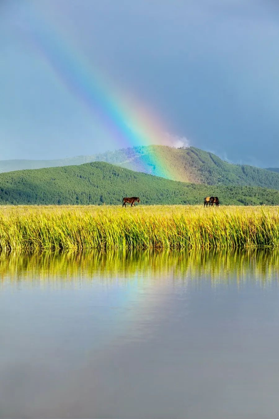 没有最伟大的作品，只有最美好的夏天