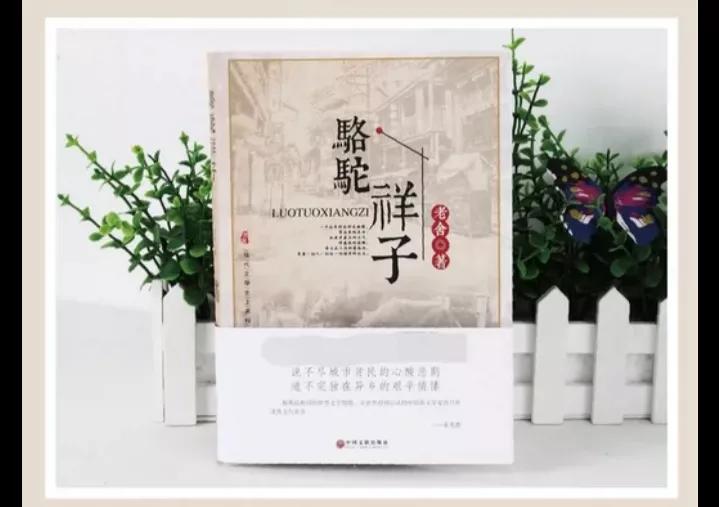 骆驼祥子读书笔记600字（骆驼祥子读后感）