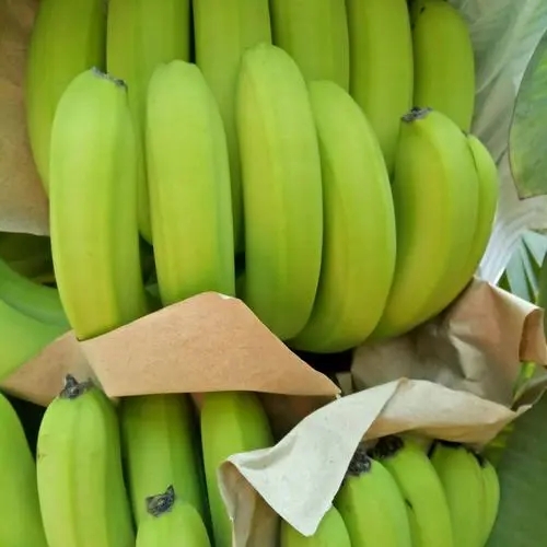 近期你有发现什么水果最短缺？