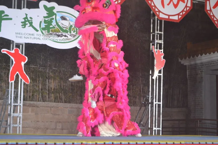 2022年迎新年“武术进万家”暨非遗“武平拳”展演圆满落幕