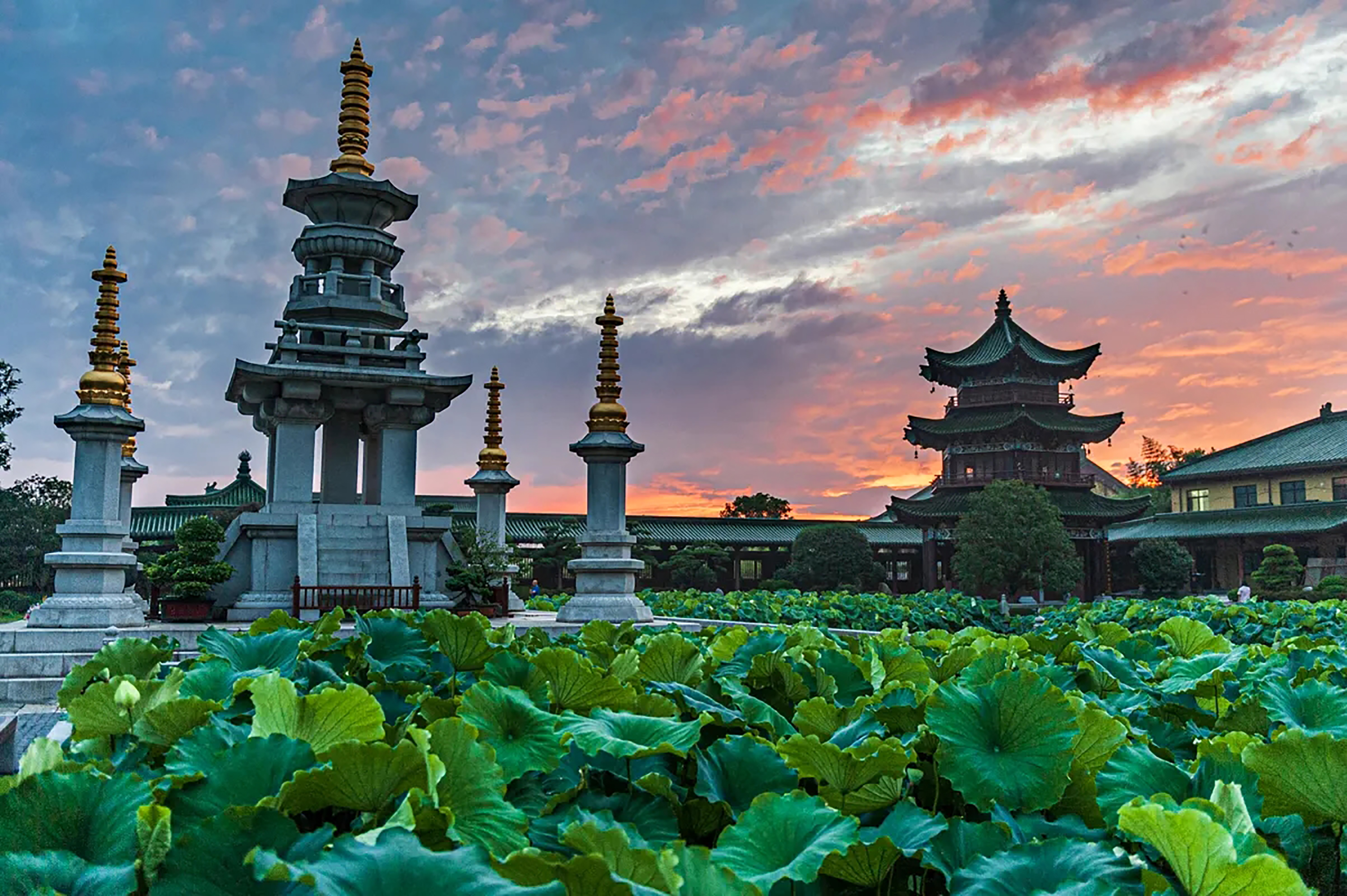净土宗和禅宗的区别(中国佛教有十派,一派为净土宗,庐山东林寺是净土