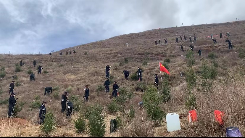 临潭县各乡镇各部门拉开春季义务植树序幕