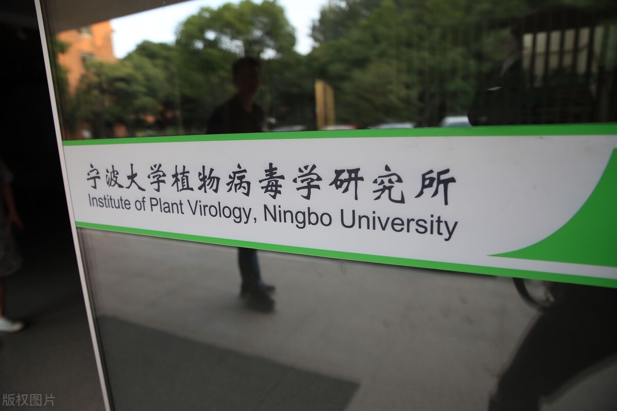 宁波大学2021年三位一体综合评价面试真题