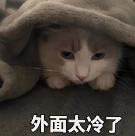 冷冬來襲，佐爵門窗伴您溫暖過冬