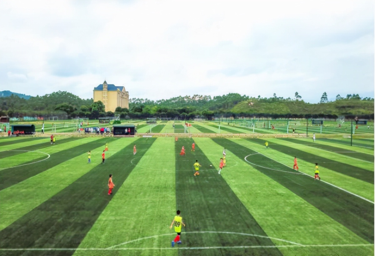 中超16队青训调查：鲁能足校首屈一指 崇明岛哺育的不只是上海足球