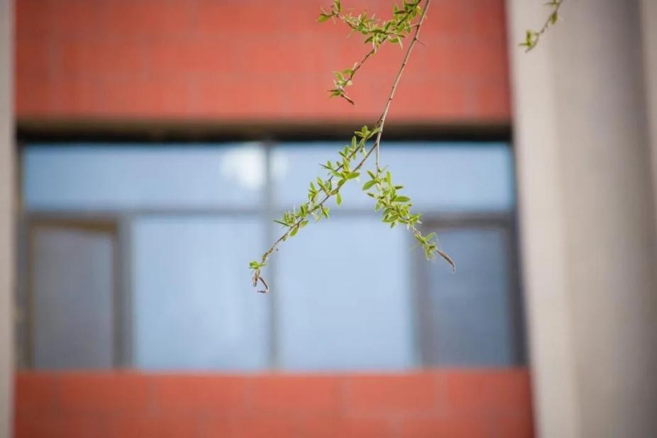 多图预警！兰大最美“校花”心动来袭，颜值超高，简直太惊艳！
