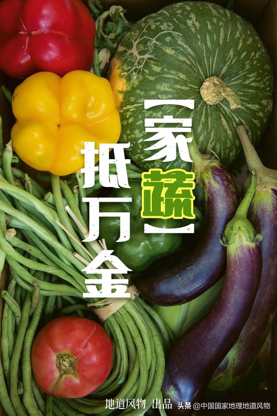 助力蔬菜自由，山东、河南、河北、江苏四省，种菜到底有多猛？