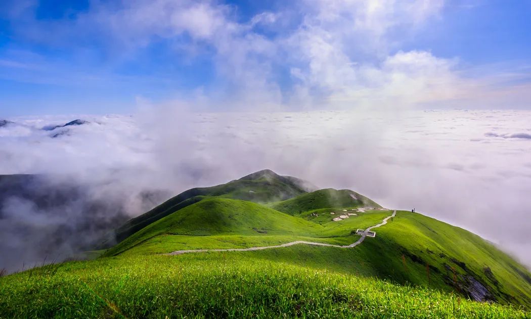 穿雲入霧分佈著10萬畝高山草甸武功山平均海拔1600多米的山脊上攝影