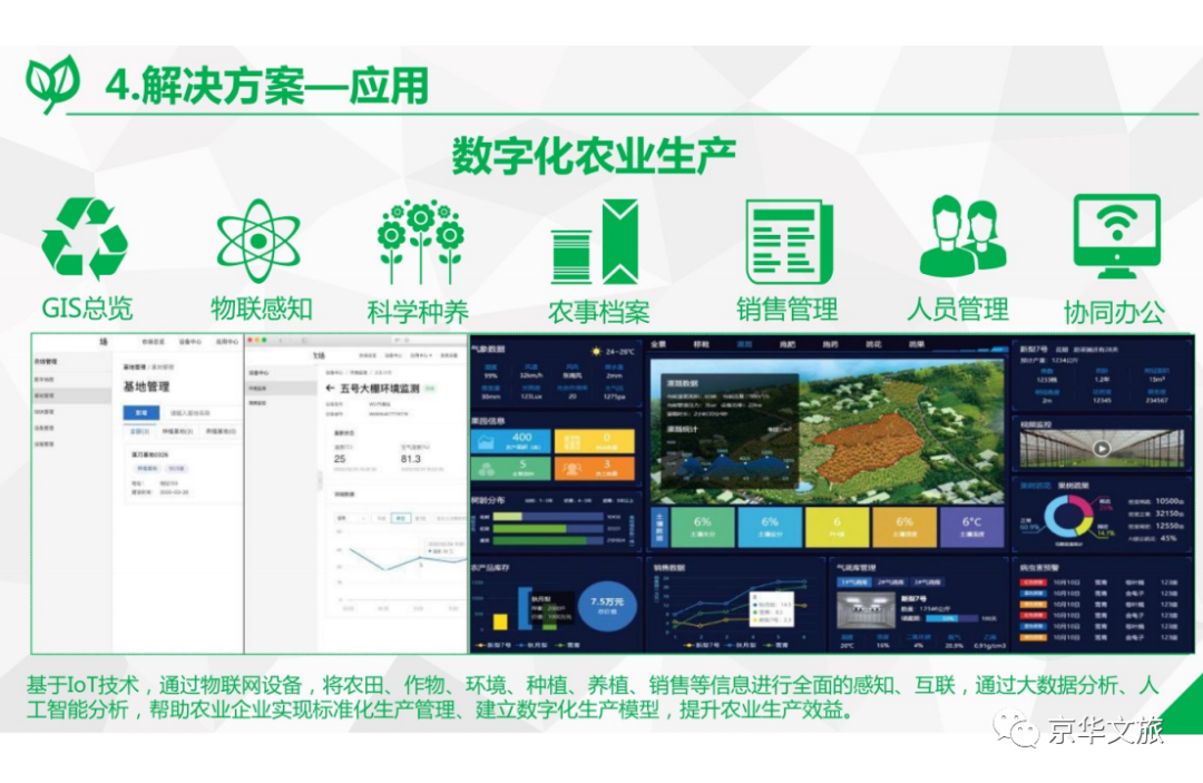 2020-2050年数字乡村发展战略重点内容