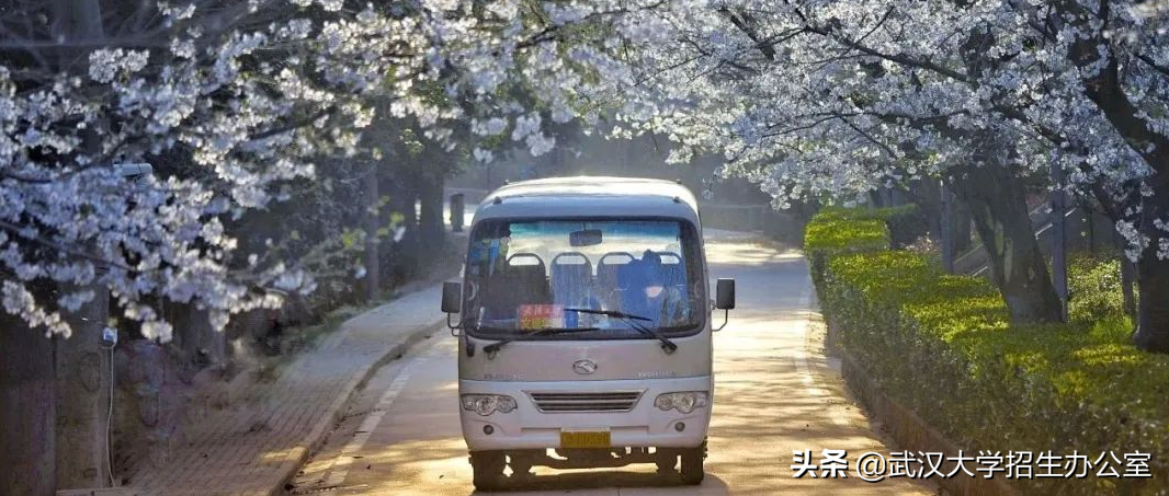 他是民国教育部长、武大首任校长，曾许下宏伟心愿！武汉大学：已经实现！