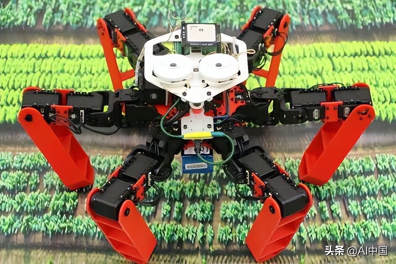 用于自主机器人的昆虫启发式 AI