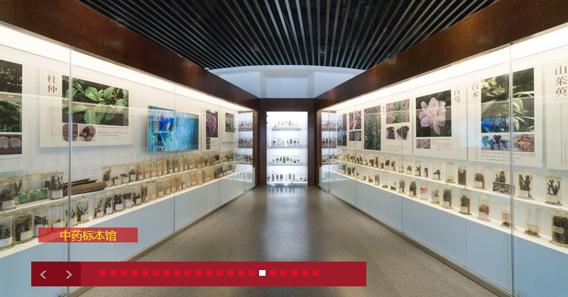 考研倒计时丨中药学硕士迎来高光时刻？四川热门高校有哪些？