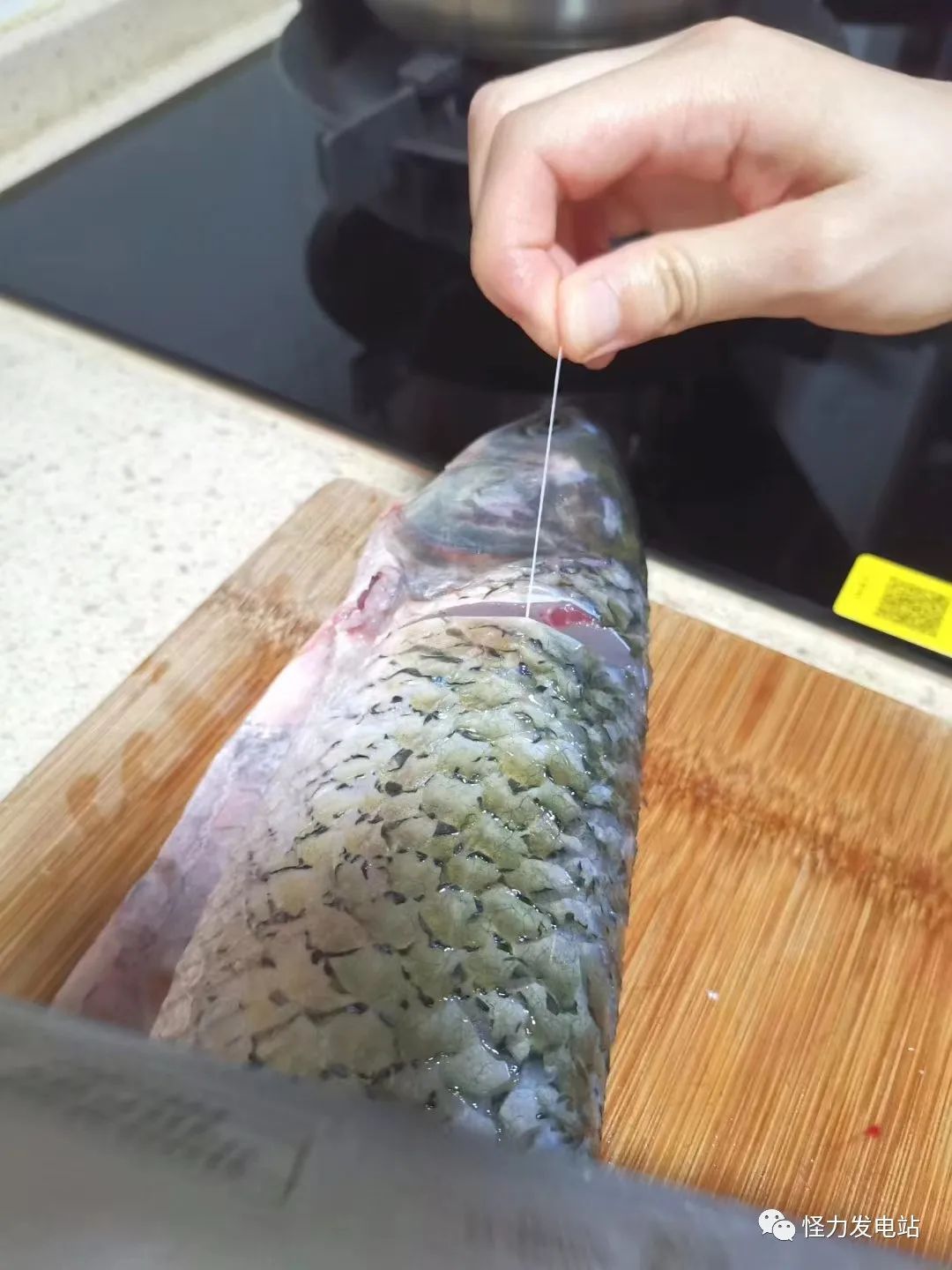 麦兜鱼丸粗面原版视频（教你做动画的鱼丸粗面）