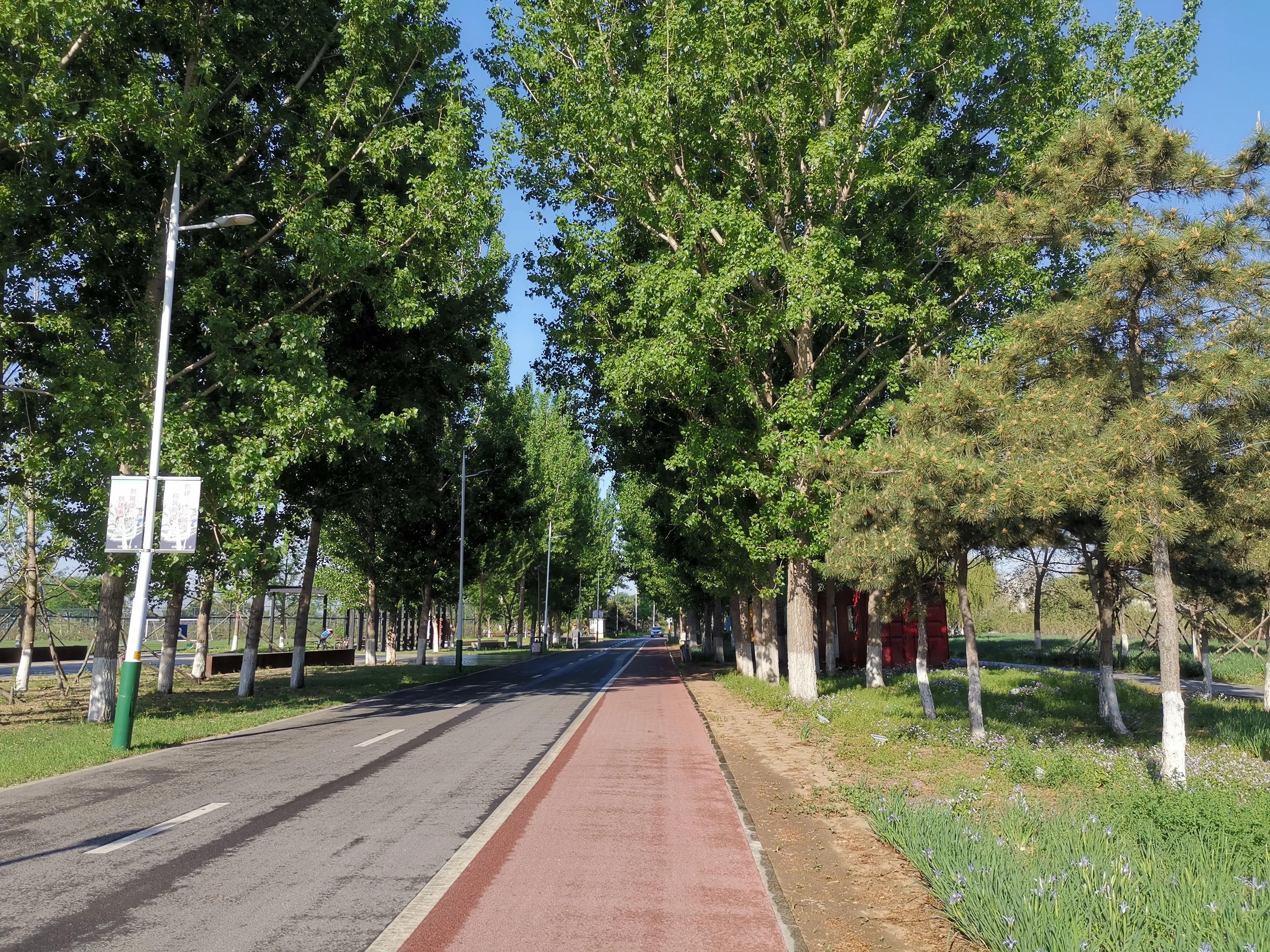 沈阳市世界杯主题街区(这里有座足球之都博物馆，施拉普纳曾到访于此——沈阳见闻之三)