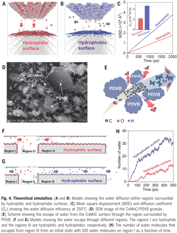 催化剂和疏水聚合物的物理混合通过脱水促进CO氢化