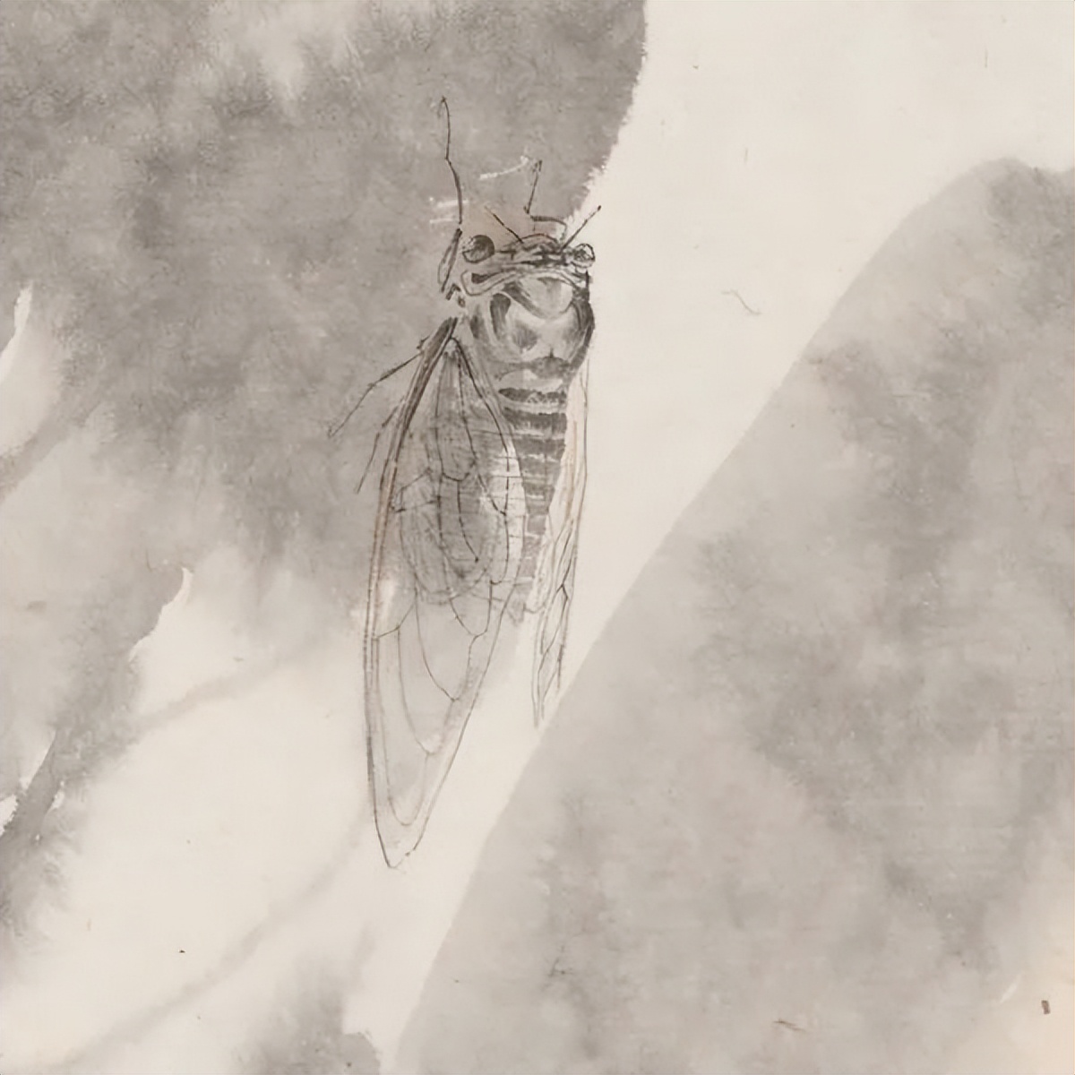 款款翩翩，不疑春深画中