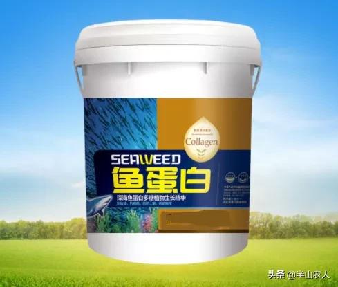 鱼蛋白肥料（推荐一个果树幼果期鱼蛋白使用小妙招）