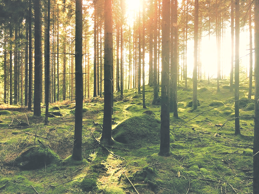 林学类专业：尽管属于农学专业，但却包含很多人感兴趣的园林专业