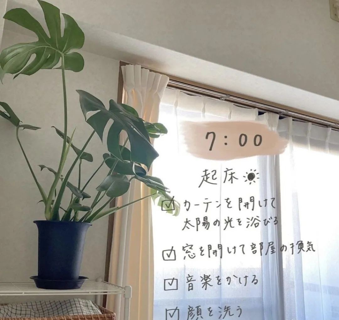 日本小姐姐的独居生活火了：27㎡小窝极致收纳，把日子过成诗