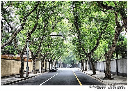 徐汇区（上海市辖区）