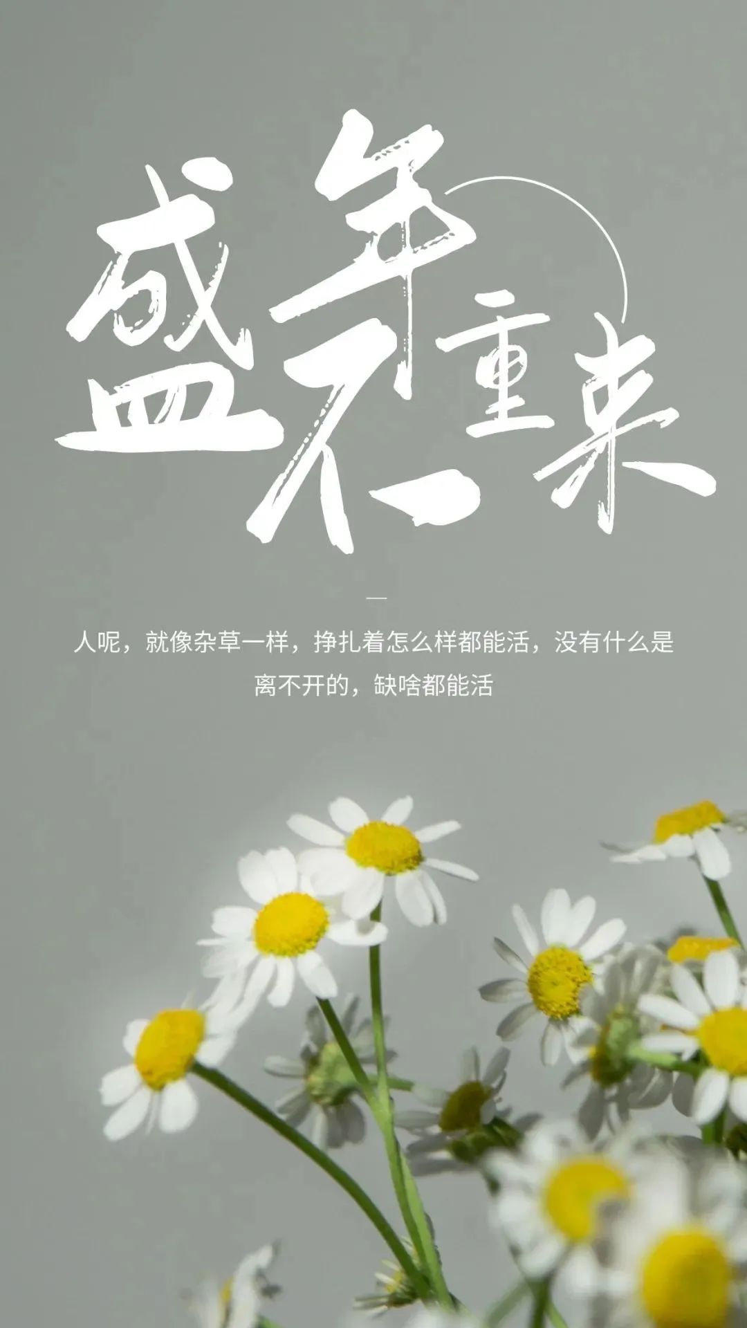 「2022.04.23」早安心语，世界读书日努力奋斗句子 早上好问候图片