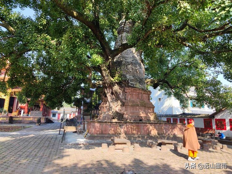 云南省普洱市景谷县,云南省普洱市景谷县永平镇邮政编码