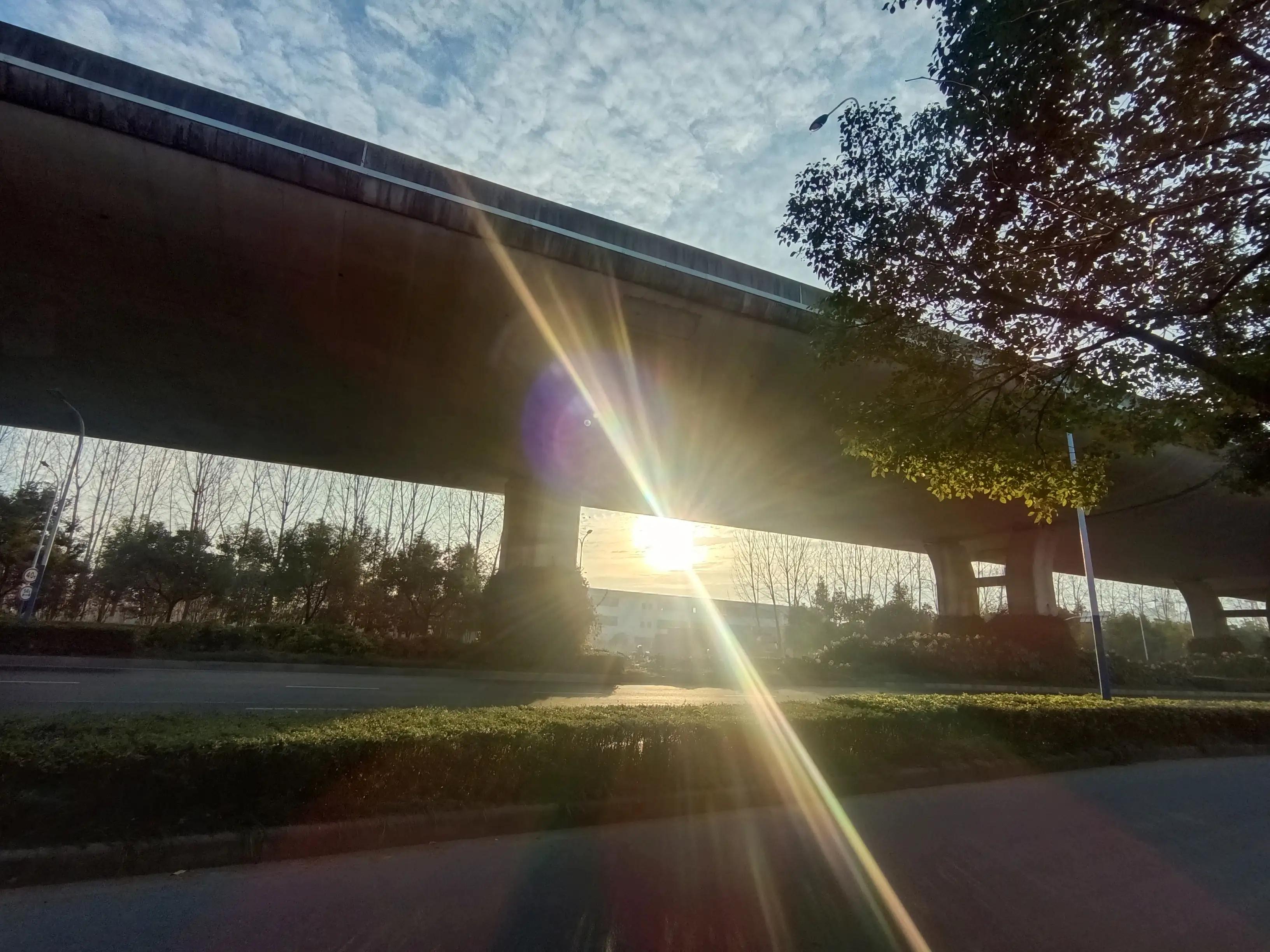 感动女生的告白金句